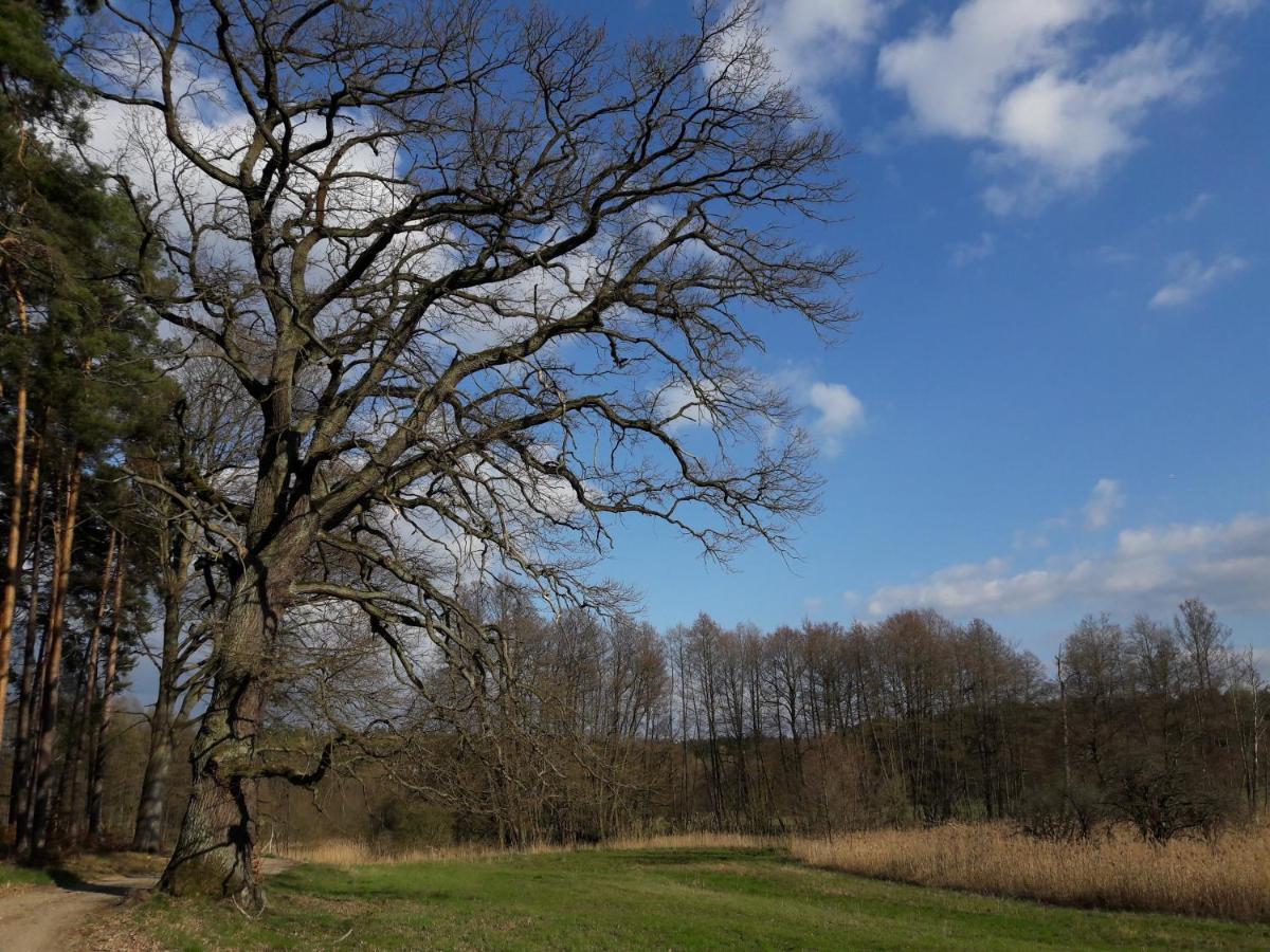 Mirabellenhof-Fewo Mit Terrasse Biesenthal ภายนอก รูปภาพ